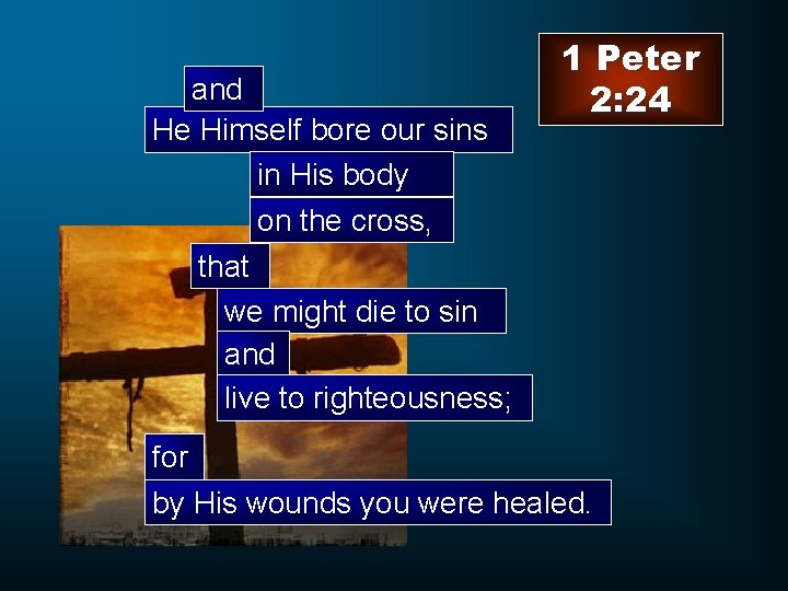 and He Himself bore our sins in His body on the cross, that we
