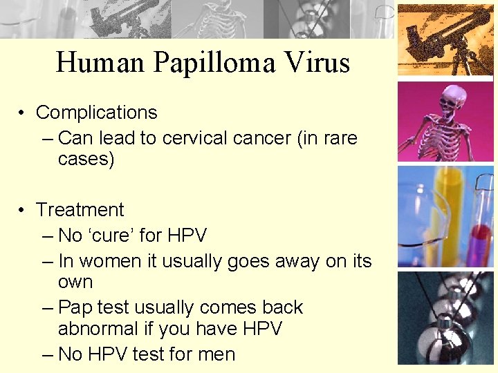 Human Papilloma Virus • Complications – Can lead to cervical cancer (in rare cases)