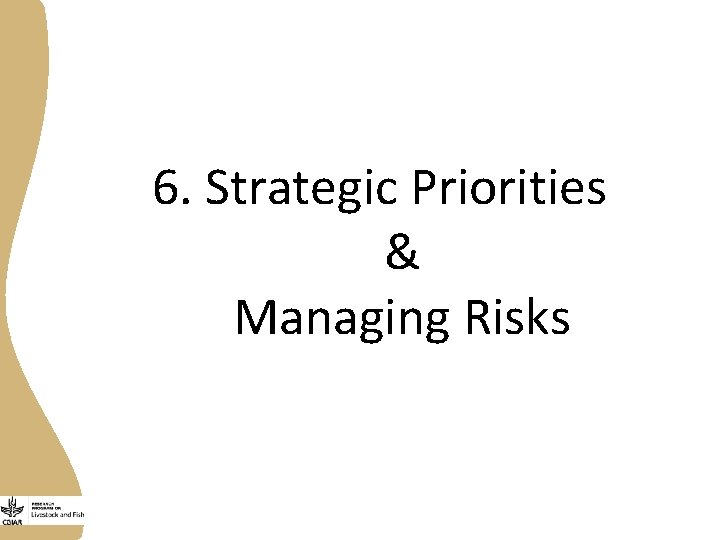  6. Strategic Priorities & Managing Risks 