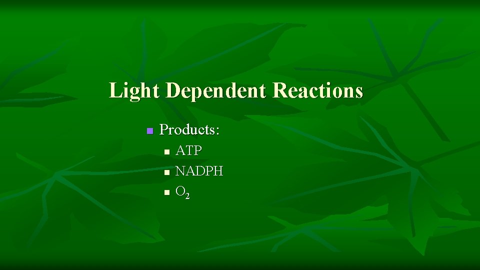 Light Dependent Reactions n Products: n n n ATP NADPH O 2 