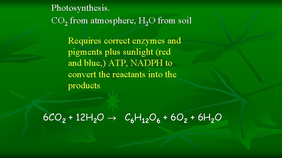 Photosynthesis. CO 2 from atmosphere, H 2 O from soil Requires correct enzymes and