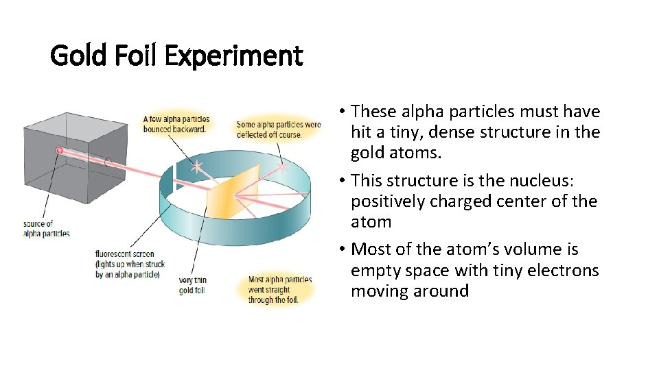 Gold Foil Experiment • These alpha particles must have hit a tiny, dense structure