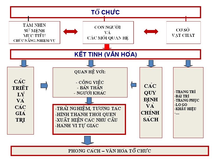 TÔ CHƯ C KÊ T TINH (VĂN HO A) QUAN HÊ VƠ I: CA