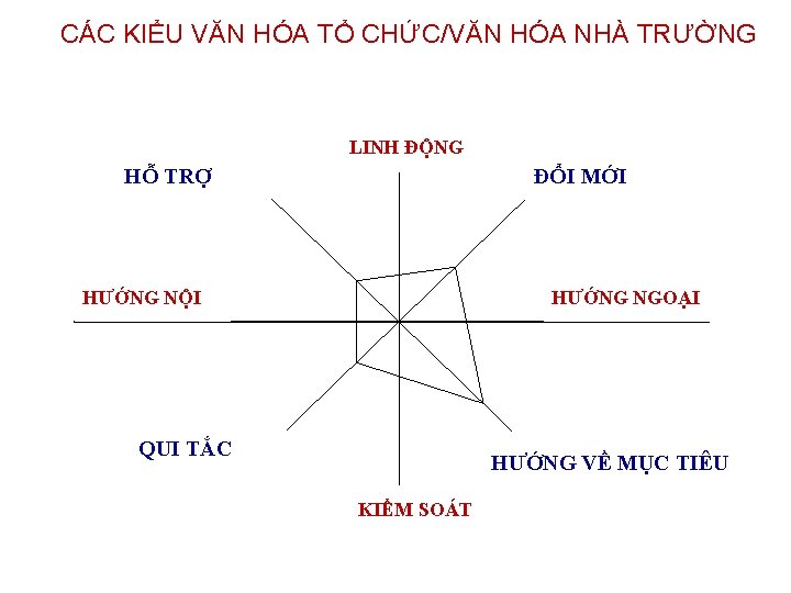 CÁC KIỂU VĂN HÓA TỔ CHỨC/VĂN HÓA NHÀ TRƯỜNG LINH ĐỘNG HỖ TRỢ ĐỔI