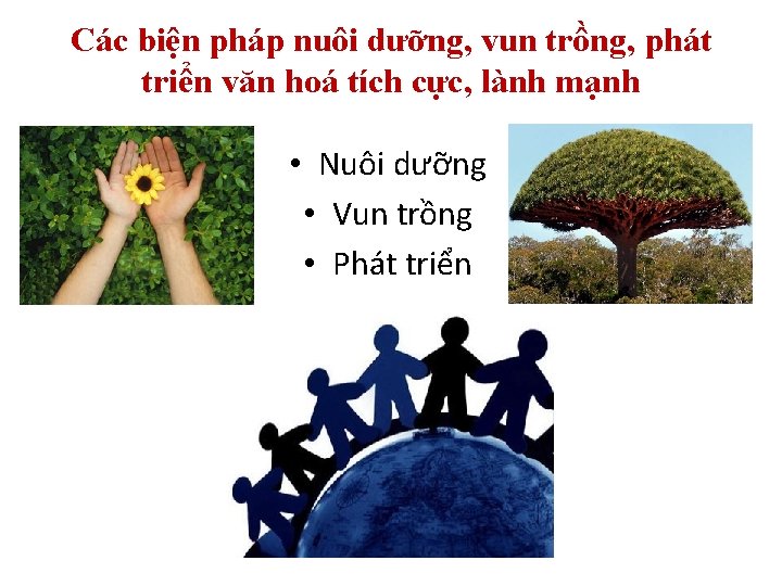 Các biện pháp nuôi dưỡng, vun trồng, phát triển văn hoá tích cực, lành