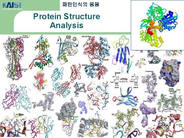 패턴인식의 응용 Protein Structure Analysis 20 