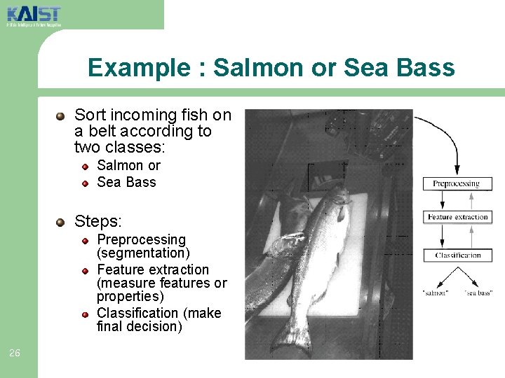 Example : Salmon or Sea Bass Sort incoming fish on a belt according to