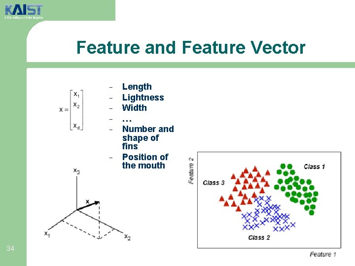 Feature and Feature Vector − − − 34 Length Lightness Width … Number and