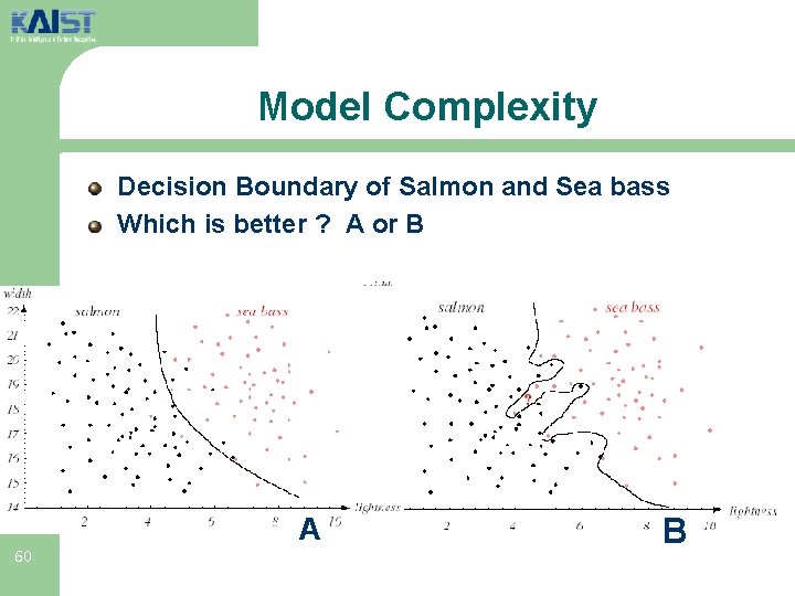 Model Complexity Decision Boundary of Salmon and Sea bass Which is better ? A