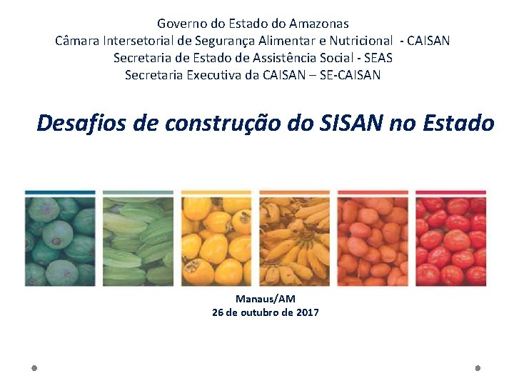 Governo do Estado do Amazonas Câmara Intersetorial de Segurança Alimentar e Nutricional - CAISAN