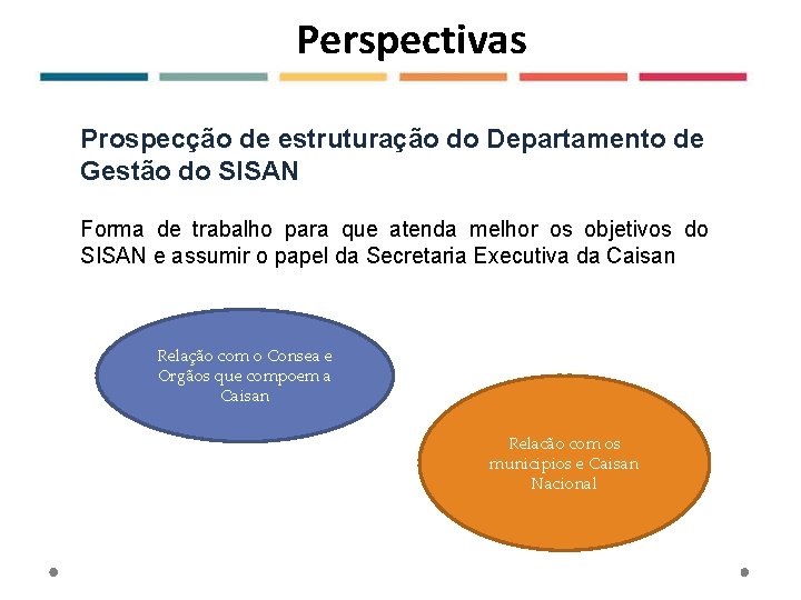 Perspectivas Prospecção de estruturação do Departamento de Gestão do SISAN Forma de trabalho para