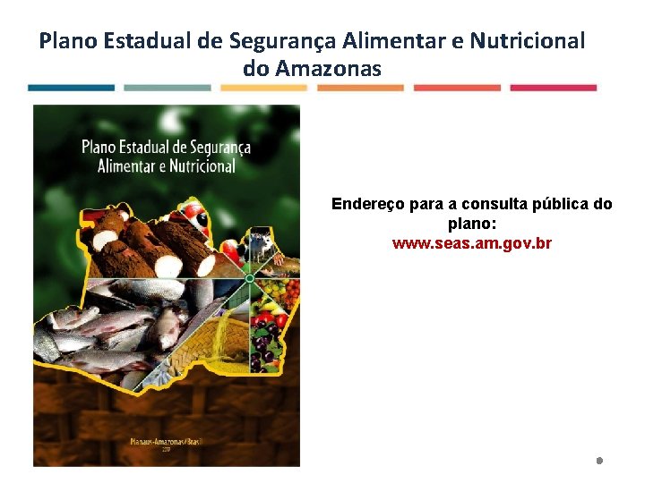 Plano Estadual de Segurança Alimentar e Nutricional do Amazonas Endereço para a consulta pública