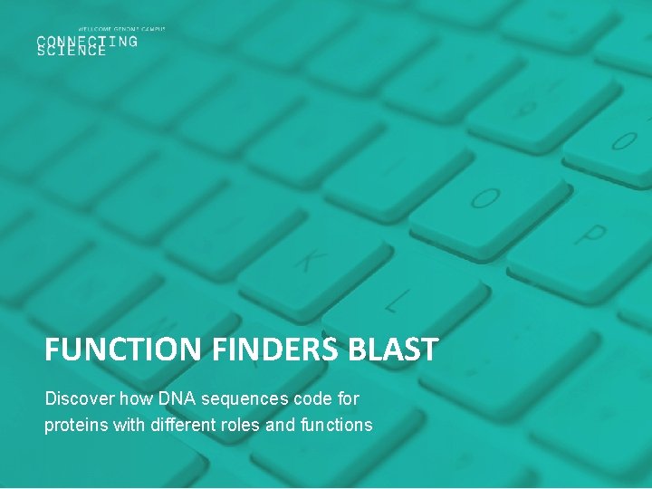 FUNCTION FINDERS BLAST Discover how DNA sequences code for proteins with different roles and