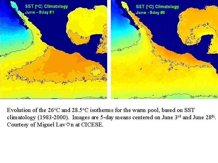 Evolution of the 26 o. C and 28. 5 o. C isotherms for the