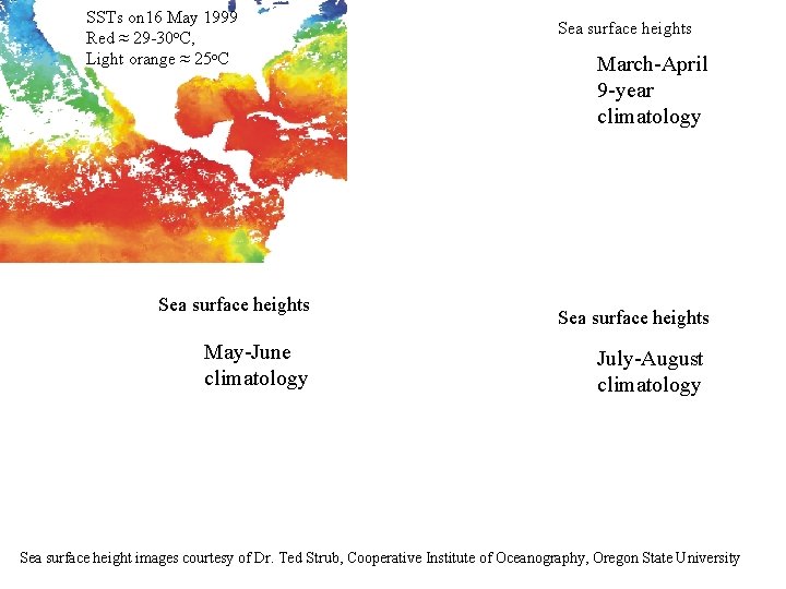 SSTs on 16 May 1999 Red ≈ 29 -30 o. C, Light orange ≈