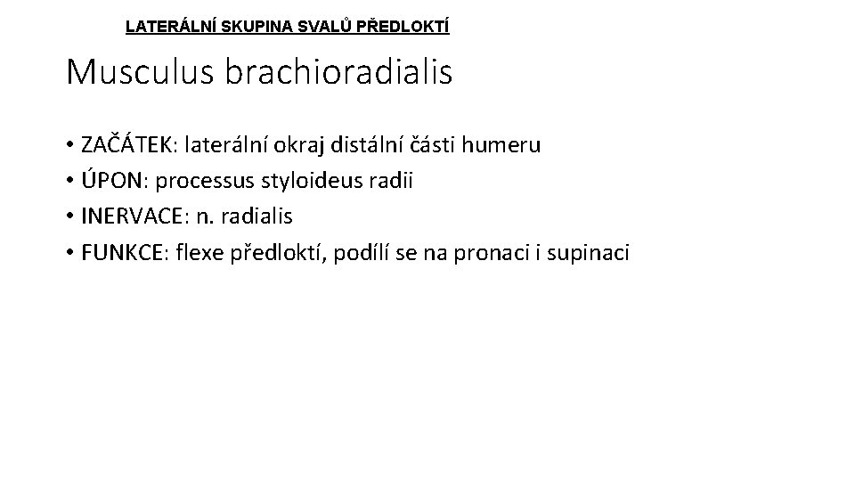 LATERÁLNÍ SKUPINA SVALŮ PŘEDLOKTÍ Musculus brachioradialis • ZAČÁTEK: laterální okraj distální části humeru •