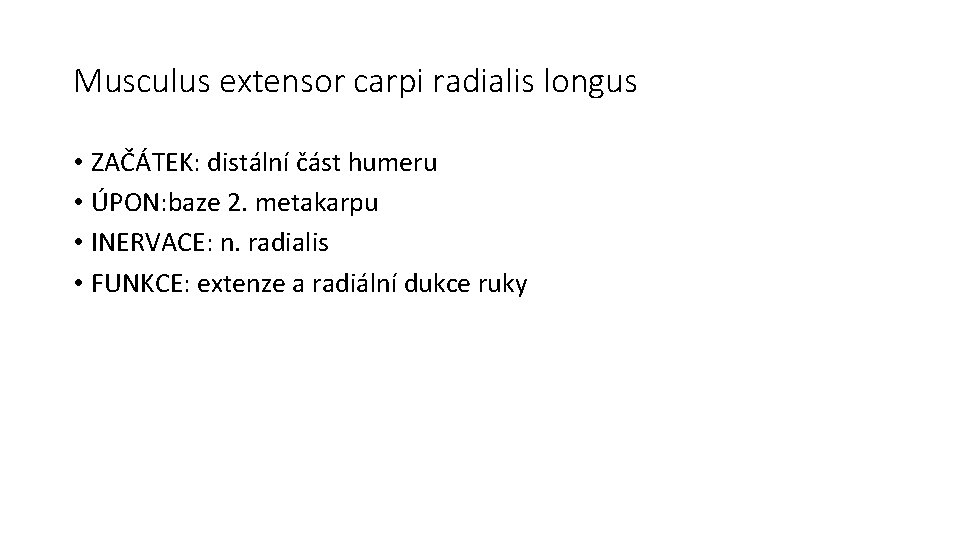 Musculus extensor carpi radialis longus • ZAČÁTEK: distální část humeru • ÚPON: baze 2.