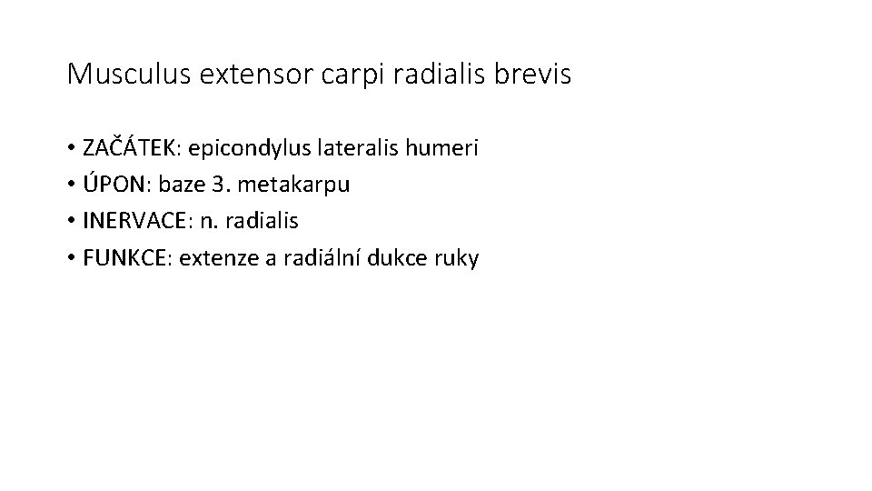 Musculus extensor carpi radialis brevis • ZAČÁTEK: epicondylus lateralis humeri • ÚPON: baze 3.