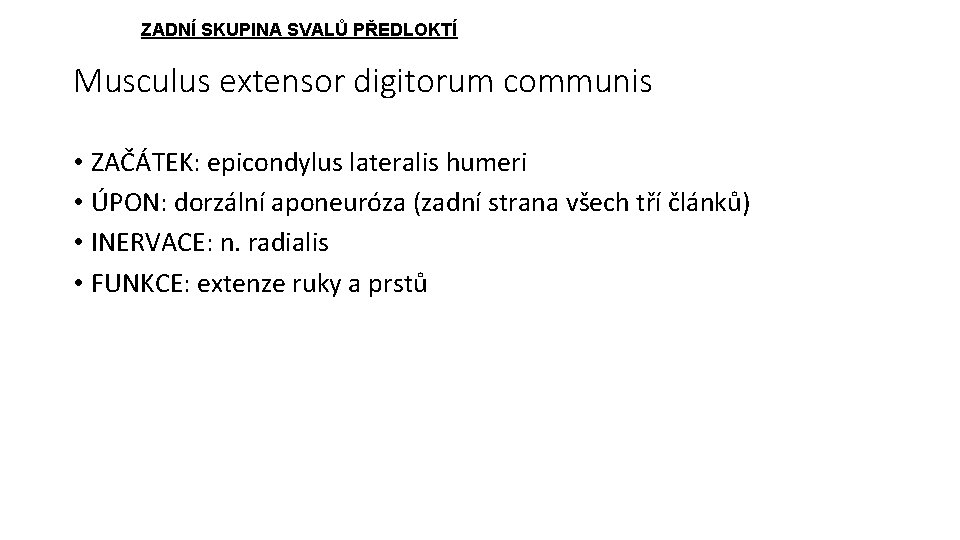 ZADNÍ SKUPINA SVALŮ PŘEDLOKTÍ Musculus extensor digitorum communis • ZAČÁTEK: epicondylus lateralis humeri •