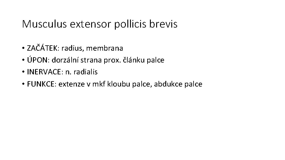 Musculus extensor pollicis brevis • ZAČÁTEK: radius, membrana • ÚPON: dorzální strana prox. článku