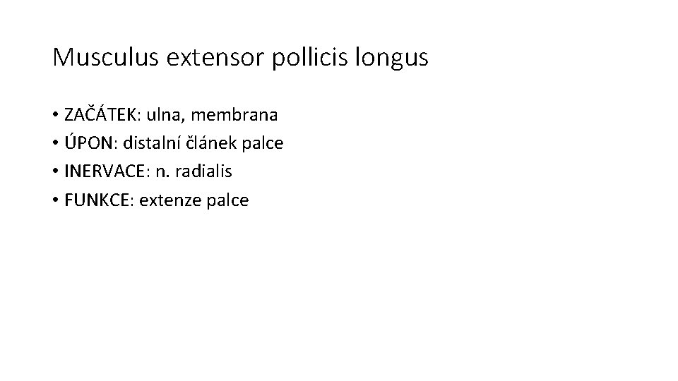 Musculus extensor pollicis longus • ZAČÁTEK: ulna, membrana • ÚPON: distalní článek palce •