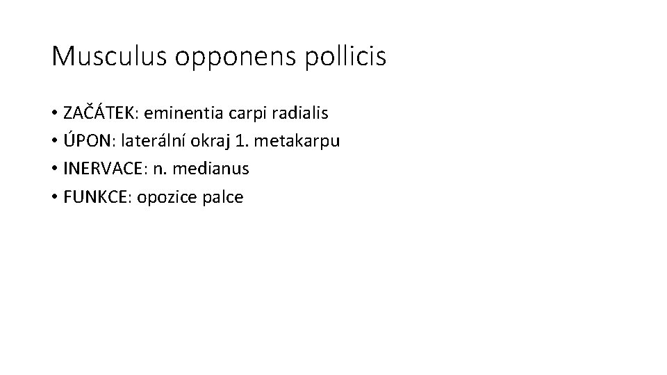 Musculus opponens pollicis • ZAČÁTEK: eminentia carpi radialis • ÚPON: laterální okraj 1. metakarpu