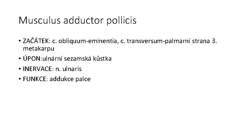 Musculus adductor pollicis • ZAČÁTEK: c. obliquum-eminentia, c. transversum-palmarní strana 3. metakarpu • ÚPON: