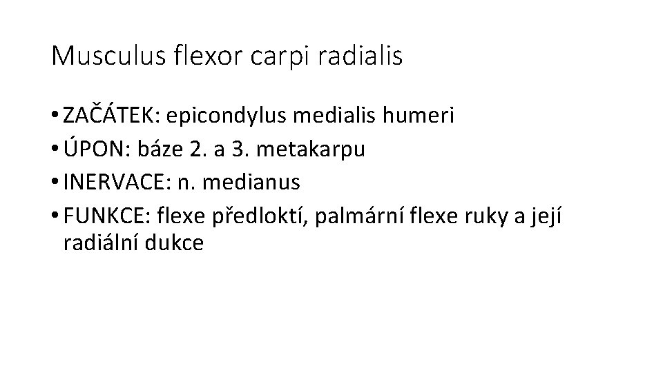 Musculus flexor carpi radialis • ZAČÁTEK: epicondylus medialis humeri • ÚPON: báze 2. a