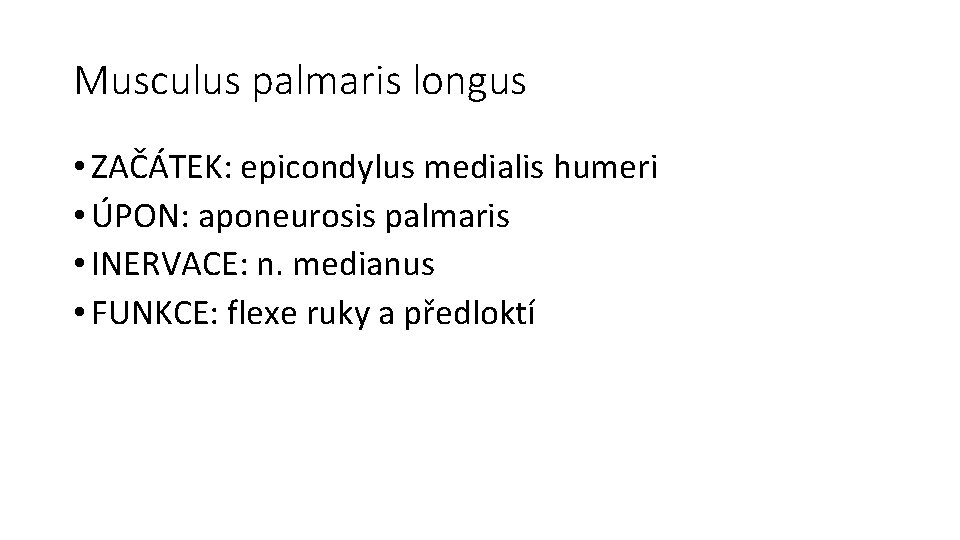 Musculus palmaris longus • ZAČÁTEK: epicondylus medialis humeri • ÚPON: aponeurosis palmaris • INERVACE: