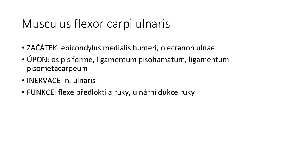 Musculus flexor carpi ulnaris • ZAČÁTEK: epicondylus medialis humeri, olecranon ulnae • ÚPON: os