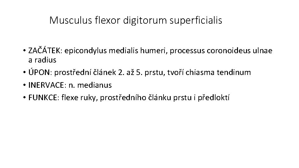 Musculus flexor digitorum superficialis • ZAČÁTEK: epicondylus medialis humeri, processus coronoideus ulnae a radius