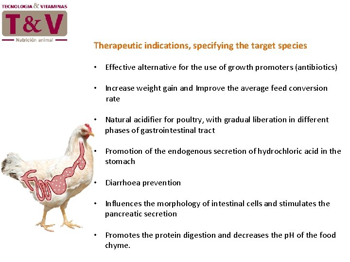 Therapeutic indications, specifying the target species • Effective alternative for the use of growth