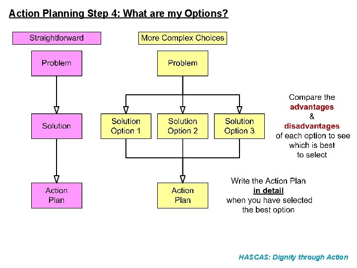 Action Planning Step 4: What are my Options? HASCAS: Dignity through Action 