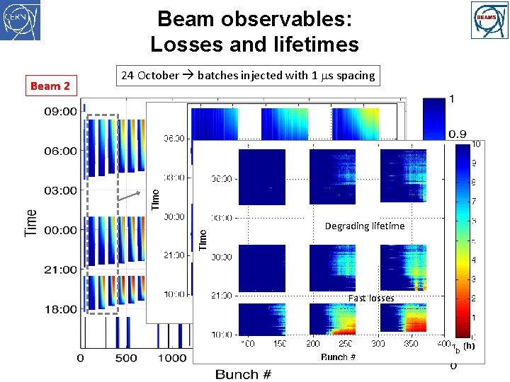 Beam observables: Losses and lifetimes Beam 2 24 October batches injected with 1 ms