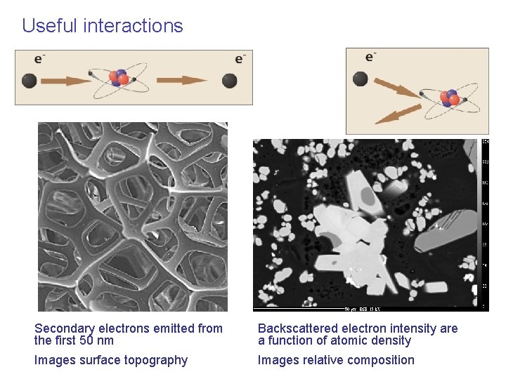 Useful interactions Secondary electrons emitted from the first 50 nm Backscattered electron intensity are