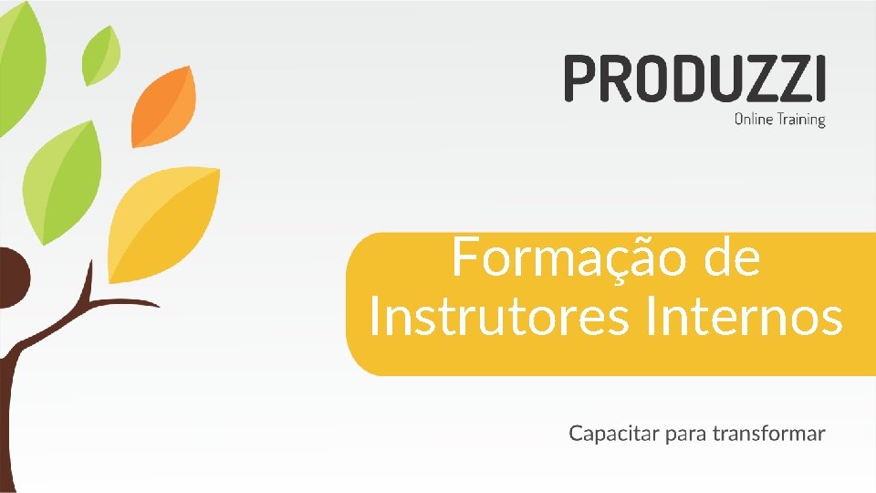 Formação de Instrutores Internos 