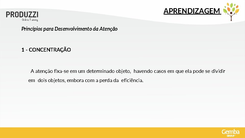 APRENDIZAGEM Princípios para Desenvolvimento da Atenção 1 - CONCENTRAÇÃO A atenção fixa-se em um