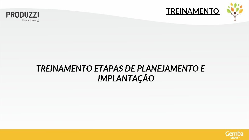 TREINAMENTO ETAPAS DE PLANEJAMENTO E IMPLANTAÇÃO 