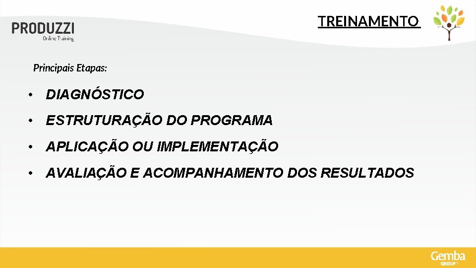 TREINAMENTO Principais Etapas: • DIAGNÓSTICO • ESTRUTURAÇÃO DO PROGRAMA • APLICAÇÃO OU IMPLEMENTAÇÃO •