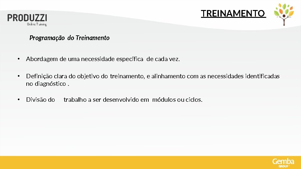TREINAMENTO Programação do Treinamento • Abordagem de uma necessidade específica de cada vez. •