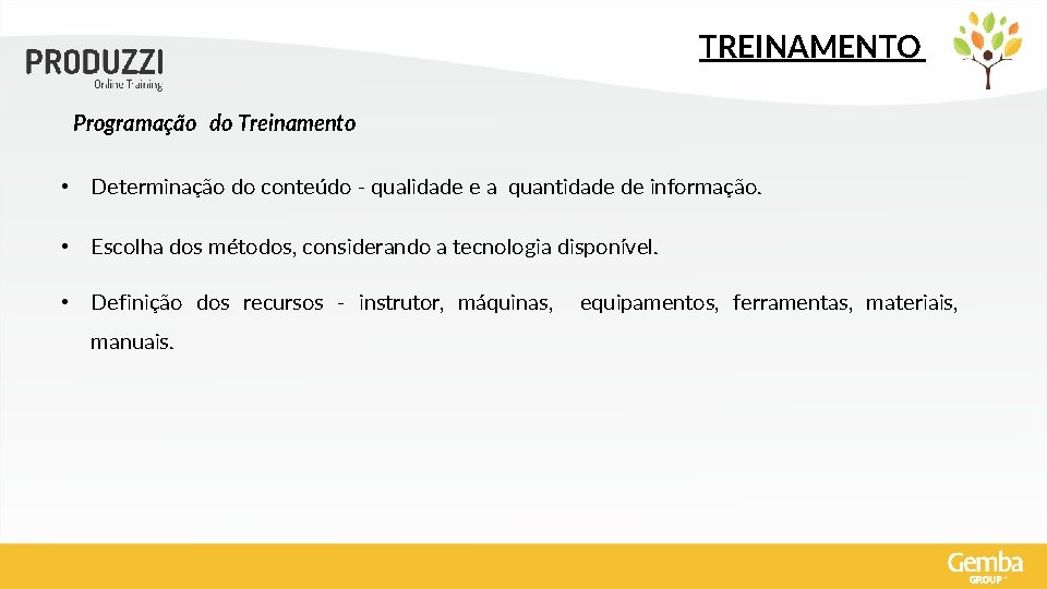 TREINAMENTO Programação do Treinamento • Determinação do conteúdo - qualidade e a quantidade de