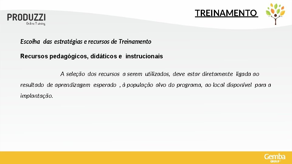 TREINAMENTO Escolha das estratégias e recursos de Treinamento Recursos pedagógicos, didáticos e instrucionais A