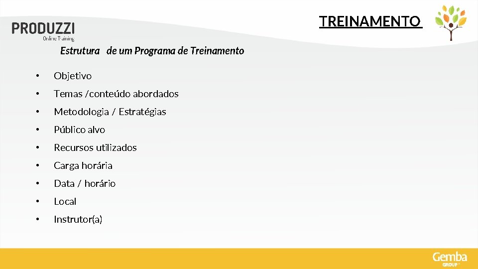 TREINAMENTO Estrutura de um Programa de Treinamento • Objetivo • Temas /conteúdo abordados •