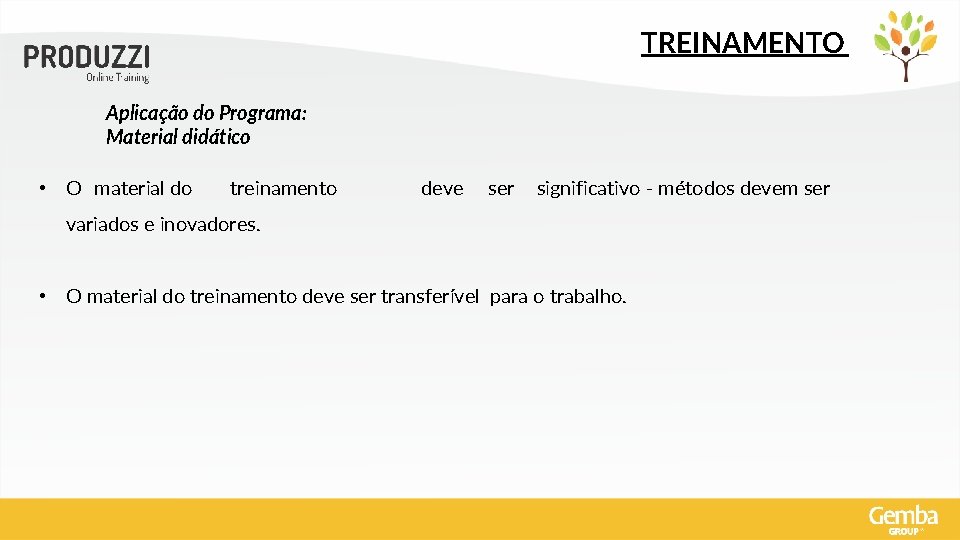 TREINAMENTO Aplicação do Programa: Material didático • O material do treinamento deve ser significativo