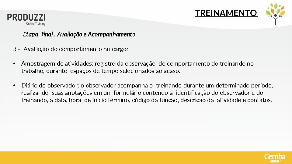 TREINAMENTO Etapa final : Avaliação e Acompanhamento 3 - Avaliação do comportamento no cargo: