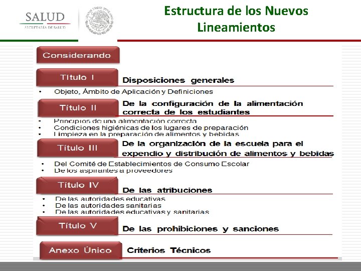 Estructura de los Nuevos Lineamientos 