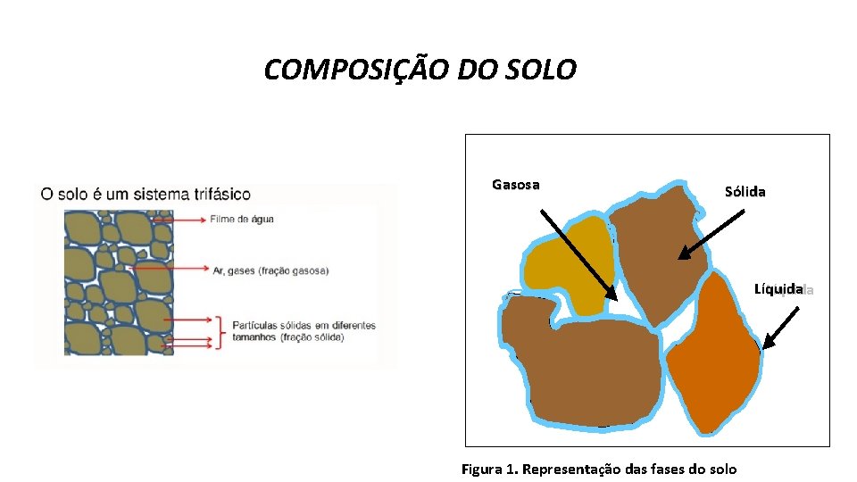 COMPOSIÇÃO DO SOLO Gasosa Sólida Líquida Figura 1. Representação das fases do solo 