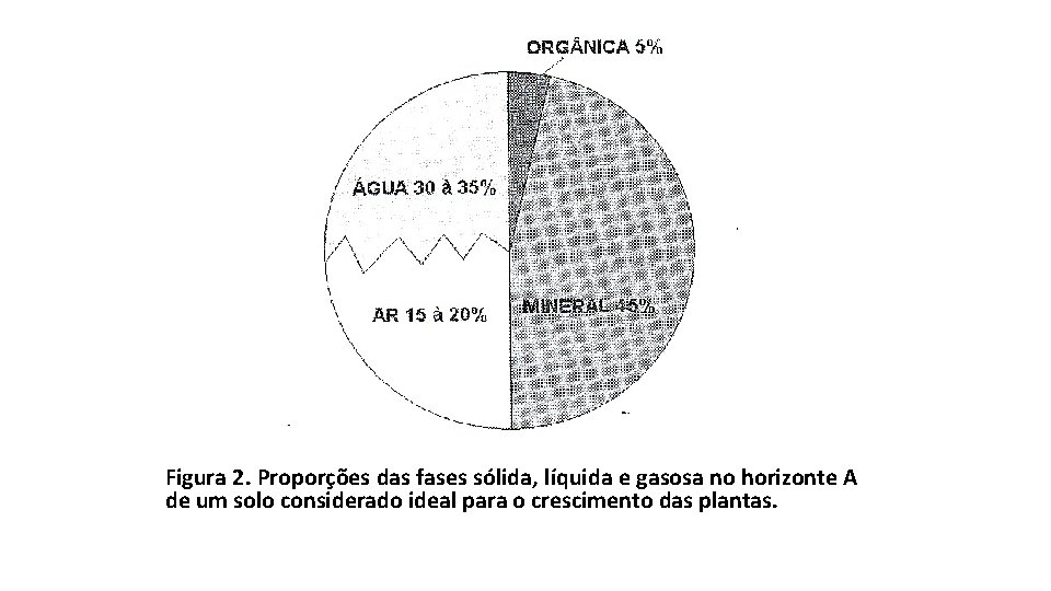 Figura 2. Proporções das fases sólida, líquida e gasosa no horizonte A de um