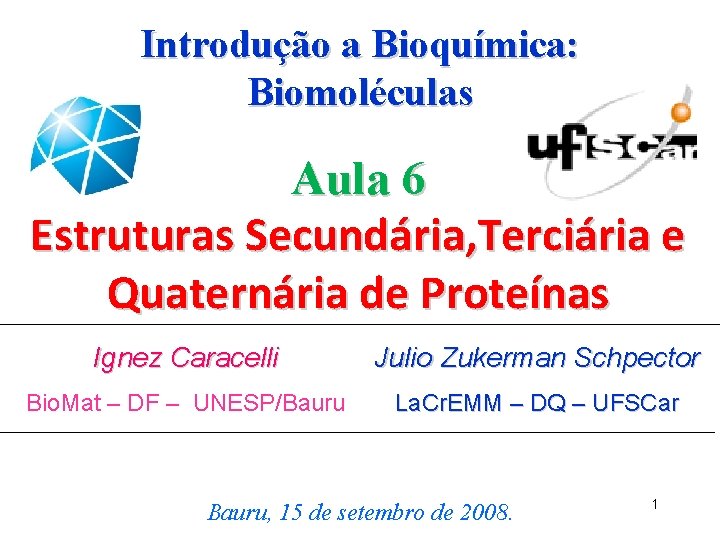 Introdução a Bioquímica: Biomoléculas Aula 6 Estruturas Secundária, Terciária e Quaternária de Proteínas Ignez