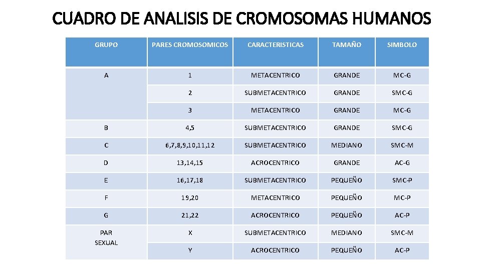 CUADRO DE ANALISIS DE CROMOSOMAS HUMANOS GRUPO PARES CROMOSOMICOS CARACTERISTICAS TAMAÑO SIMBOLO A 1 CUADRO DE ANALISIS DE CROMOSOMAS HUMANOS GRUPO PARES CROMOSOMICOS CARACTERISTICAS TAMAÑO SIMBOLO A 1
